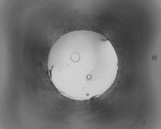 X0000112360192200909241135