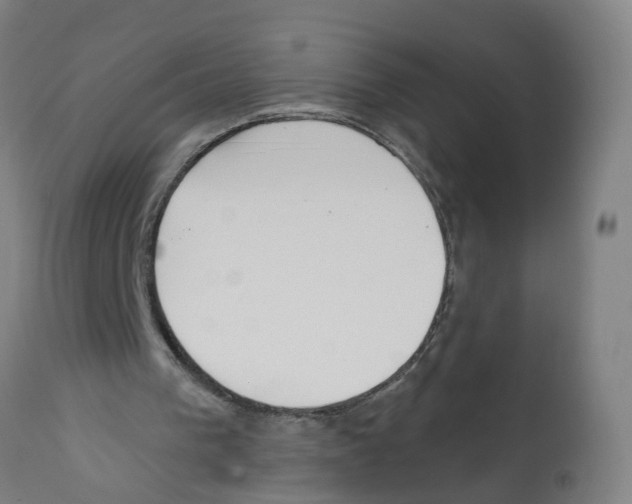 X0000112360193200909241134