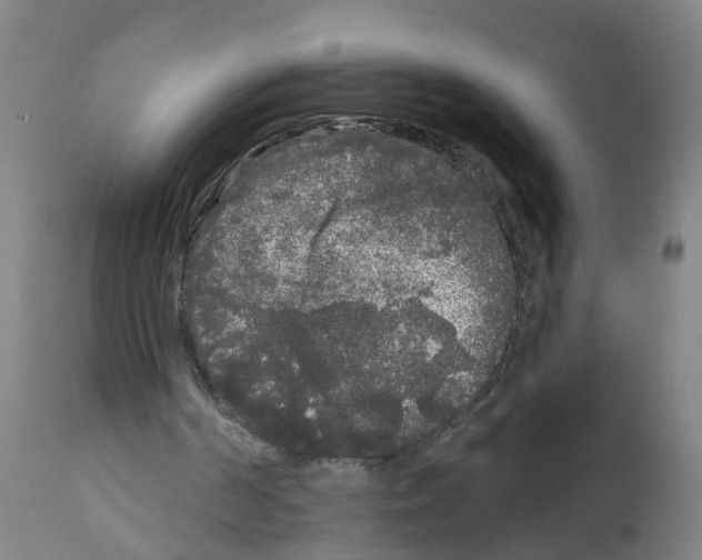 X0000112360194200909241134