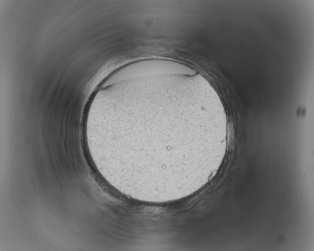 X0000112360195200909241134