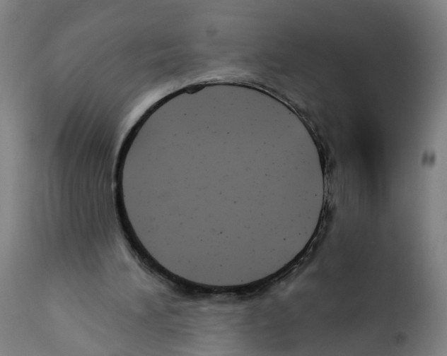 X0000112360196200909241134