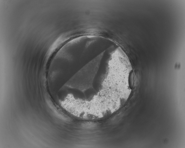 X0000112360198200909241134