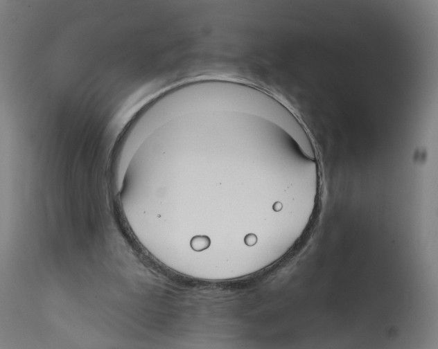 X0000112360199200909241134