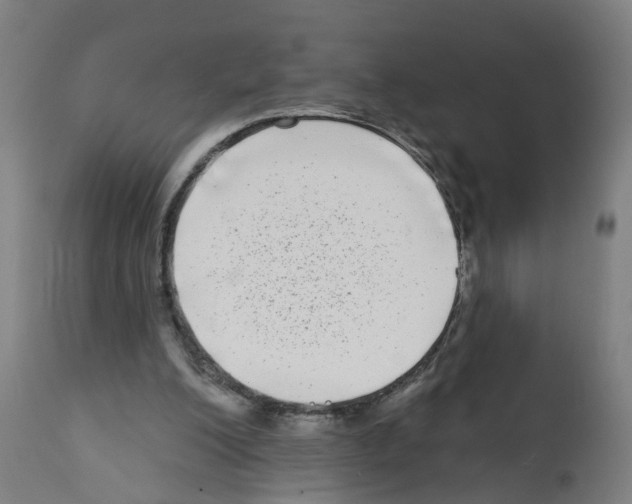 X0000112360200200909241134
