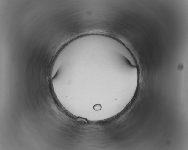 X0000112360201200909241134