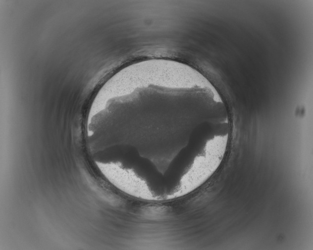 X0000112360202200909241134