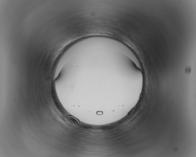 X0000112360203200909241134