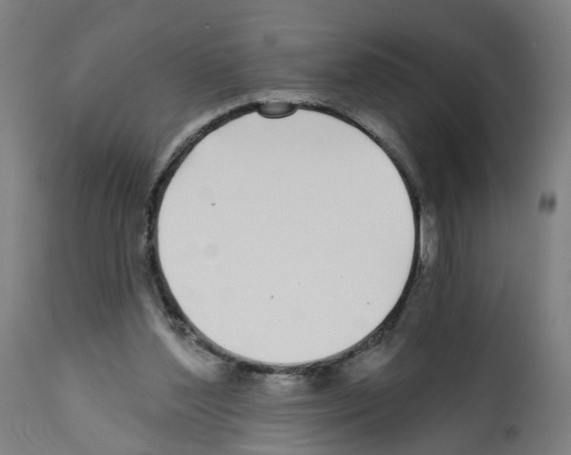 X0000112360204200909241134