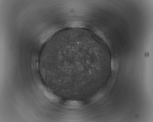 X0000112360205200909241134