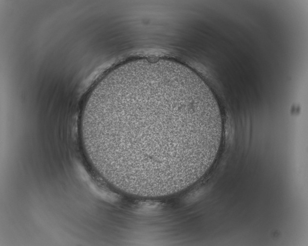 X0000112360206200909241134