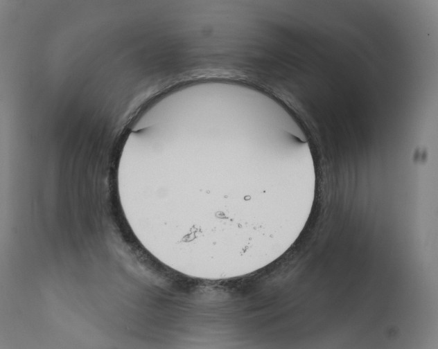 X0000112360207200909241134