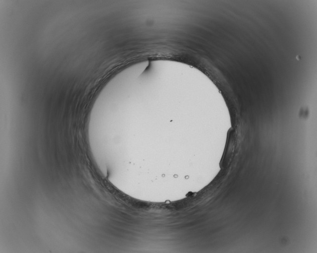 X0000112360209200909241134