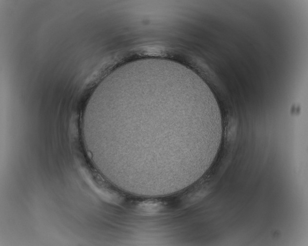 X0000112360213200909241134
