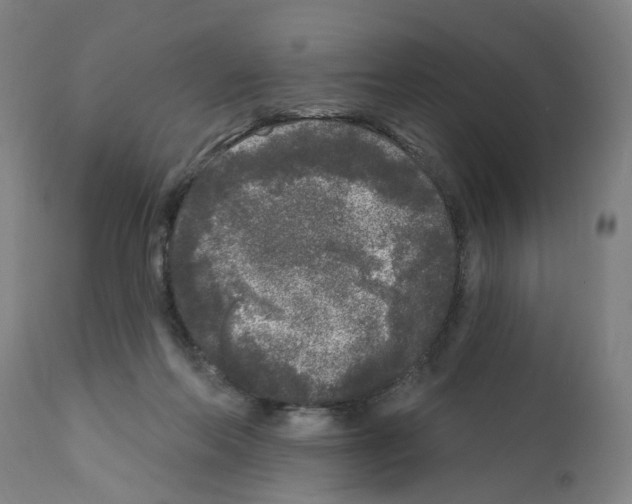 X0000112360214200909241133