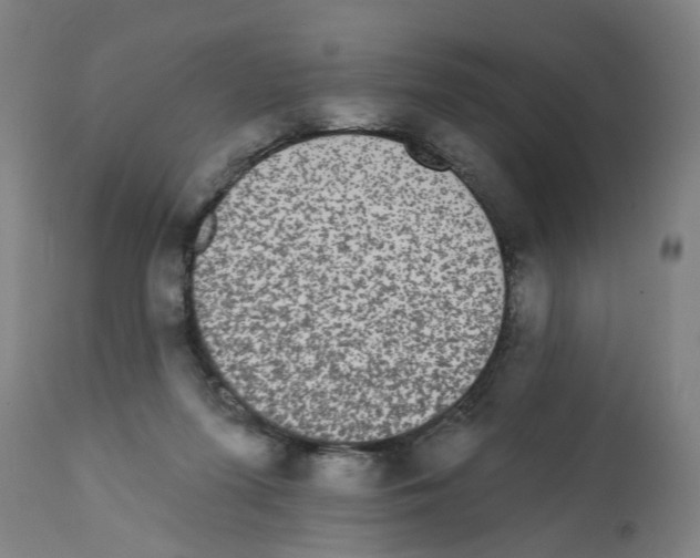X0000112360215200909241133