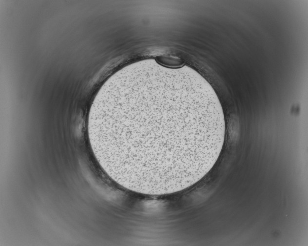 X0000112360216200909241133