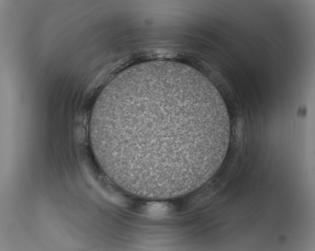 X0000112360218200909241133
