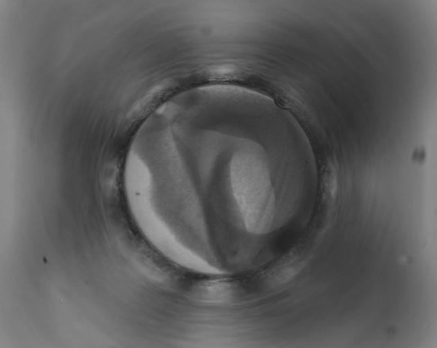 X0000112360219200909241133
