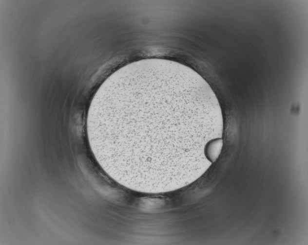 X0000112360220200909241133