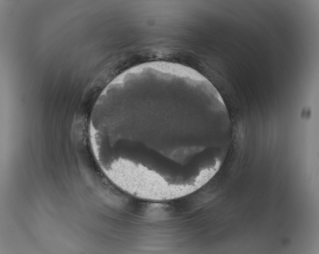 X0000112360222200909241133