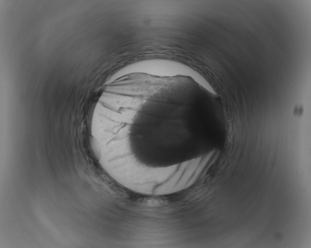 X0000112360223200909241133