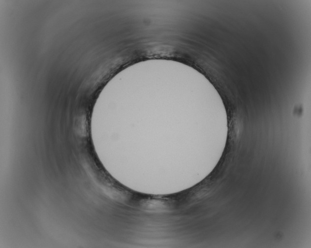X0000112360224200909241133
