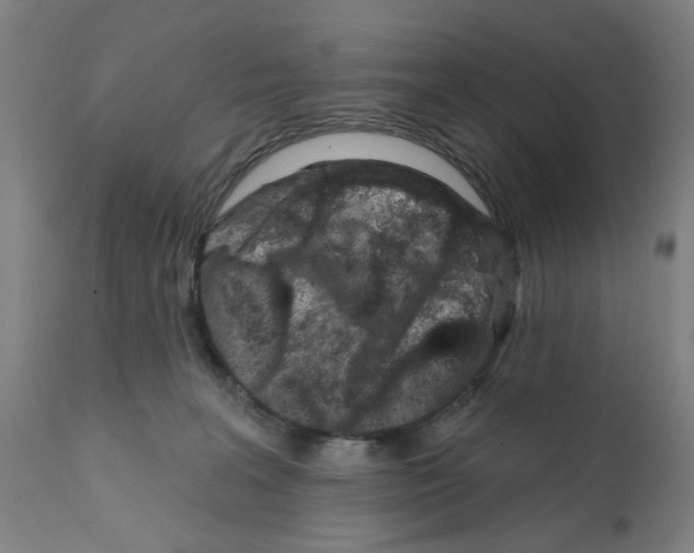 X0000112360227200909241133