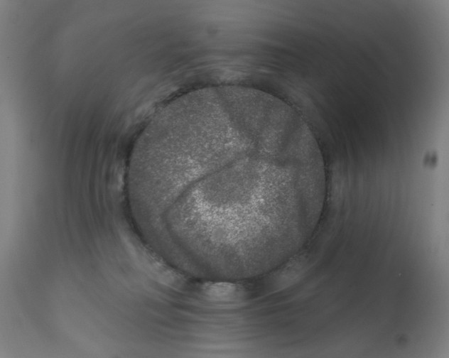X0000112360230200909241133