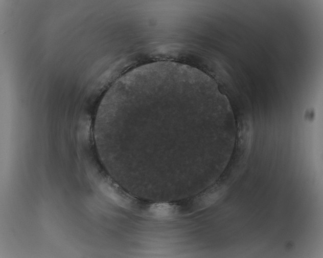 X0000112360231200909241133