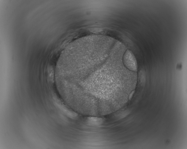 X0000112360234200909241133