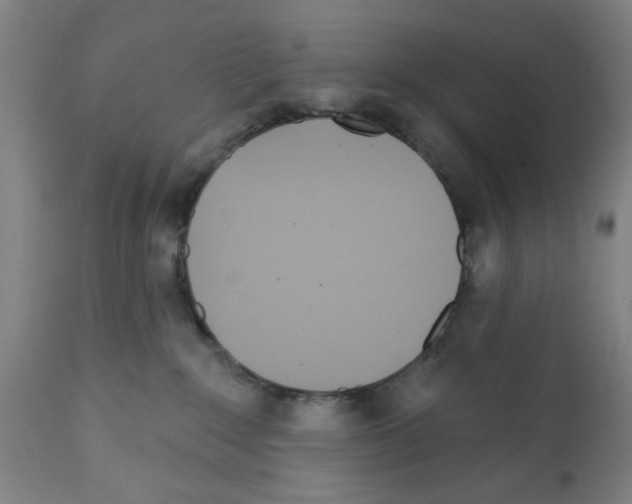 X0000112360235200909241133