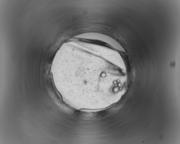 X0000112360237200909241133