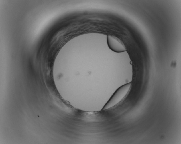 X0000112360239200909241133