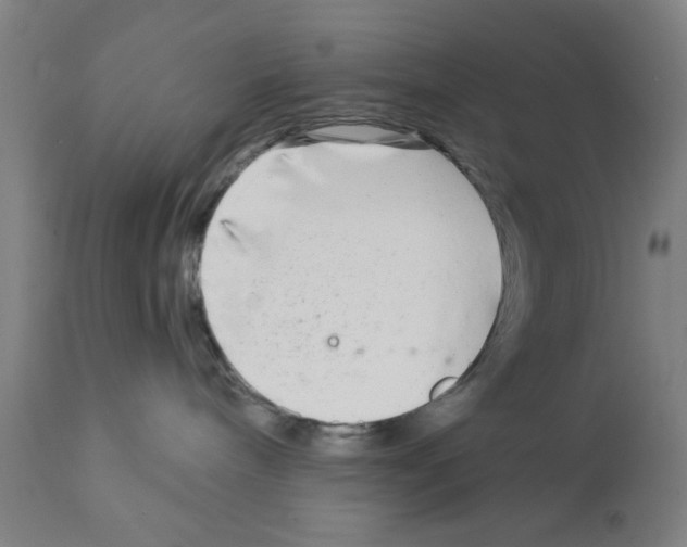 X0000112360240200909241133
