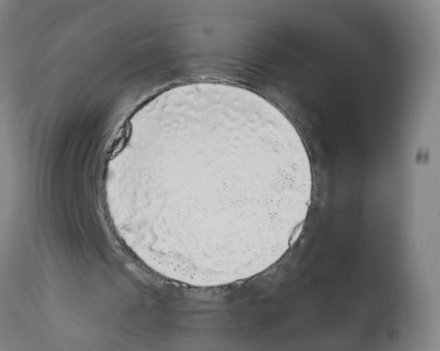X0000112360241200909241132
