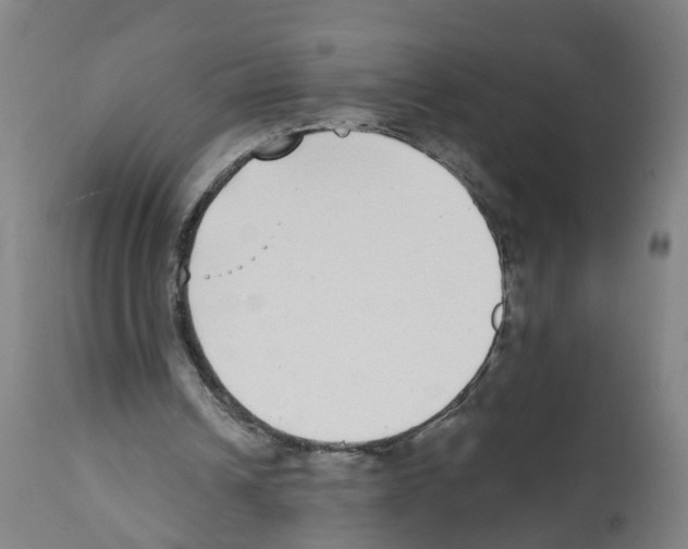 X0000112360242200909241132