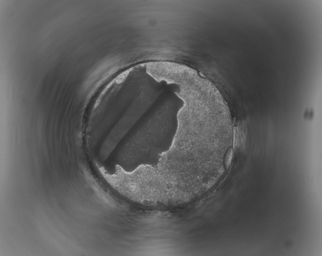 X0000112360243200909241133