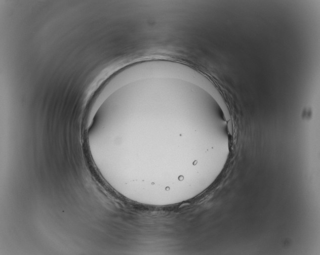 X0000112360244200909241133
