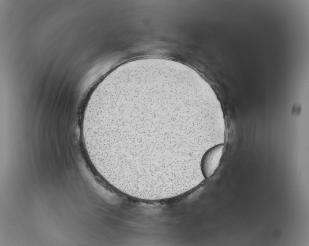 X0000112360245200909241133