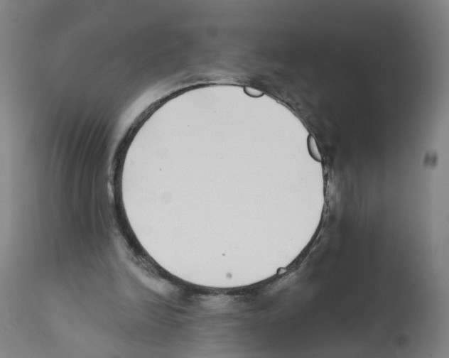 X0000112360246200909241133