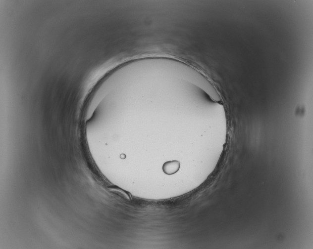 X0000112360248200909241133