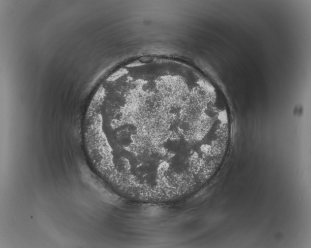 X0000112360249200909241133