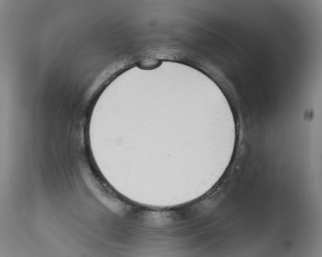 X0000112360250200909241133
