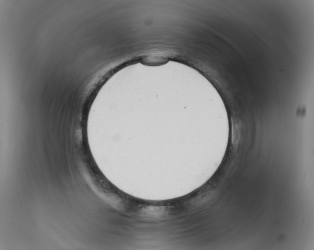 X0000112360252200909241133