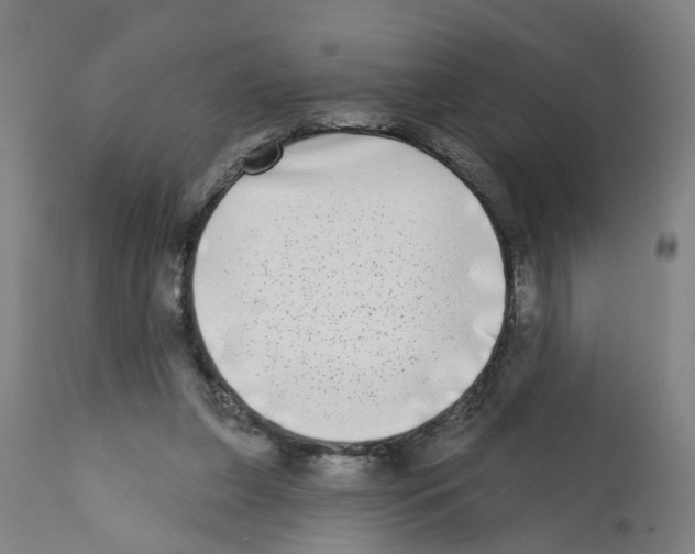 X0000112360255200909241133