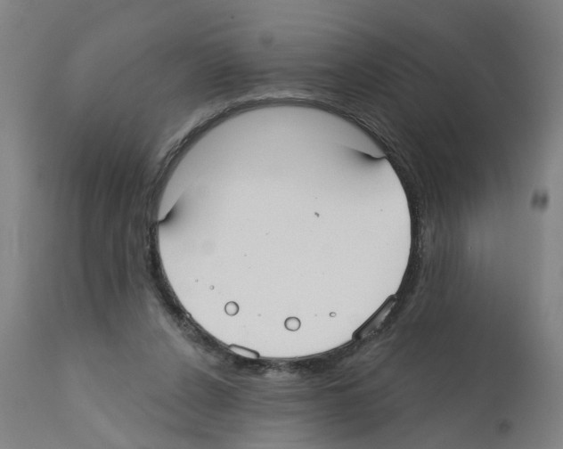X0000112360256200909241133