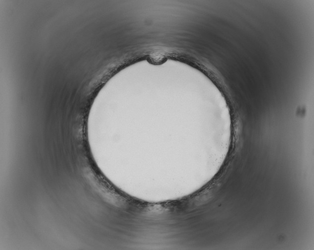 X0000112360257200909241133