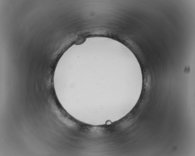 X0000112360261200909241133