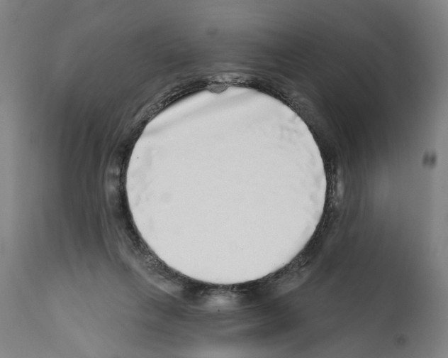 X0000112360263200909241133