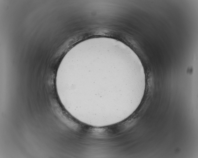X0000112360265200909241133